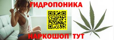 ГАЛЛЮЦИНОГЕННЫЕ ГРИБЫ Ипатово